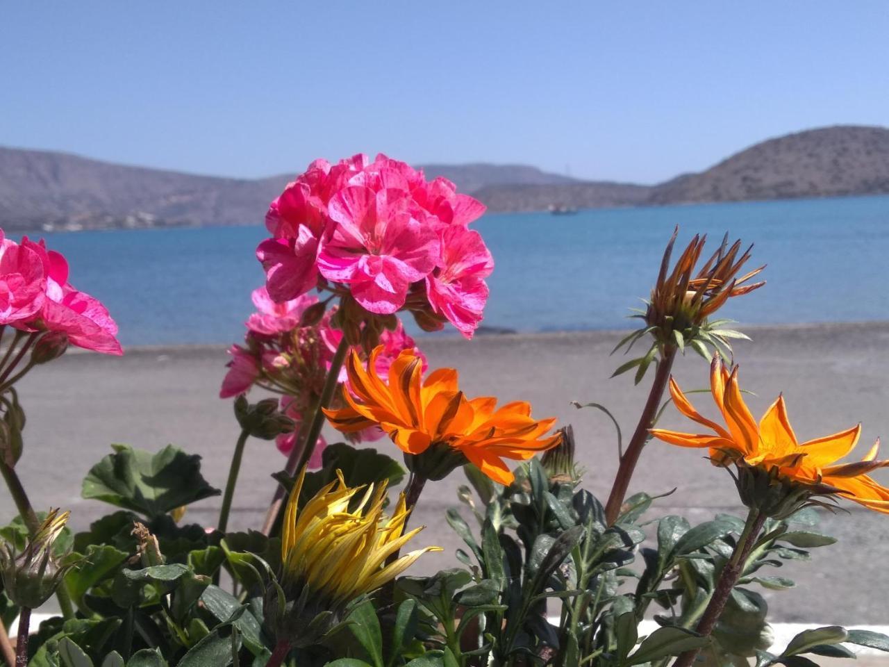 Hiona Seaside Apartment Elounda  Ngoại thất bức ảnh